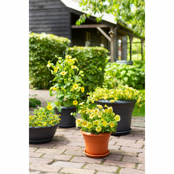 Florus Květináč Fiore Alessia O 45 cm antracit