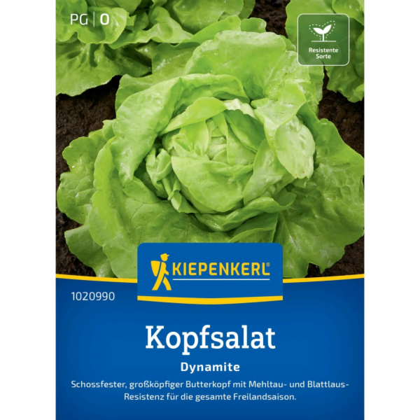 Kiepenkerl Salát Profi-Line "Dynamite"