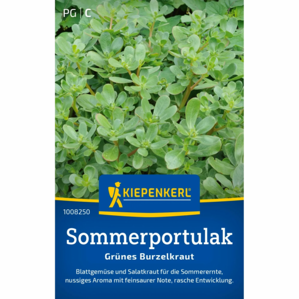 Kiepenkerl Purslane "Letní Purslane"