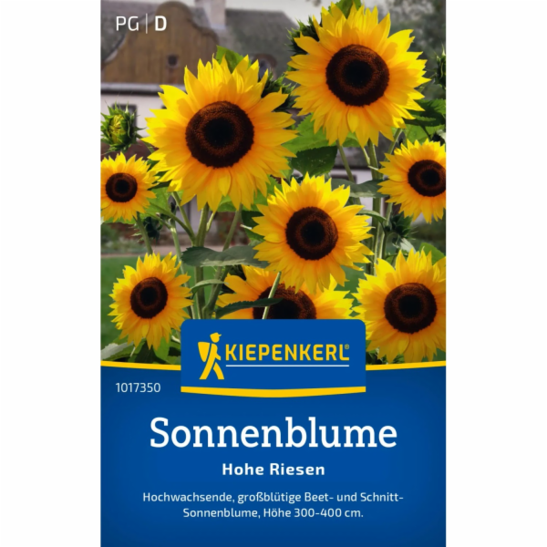 Kiepenkerl ova slunečnice "High Giants" Helianthus annuus