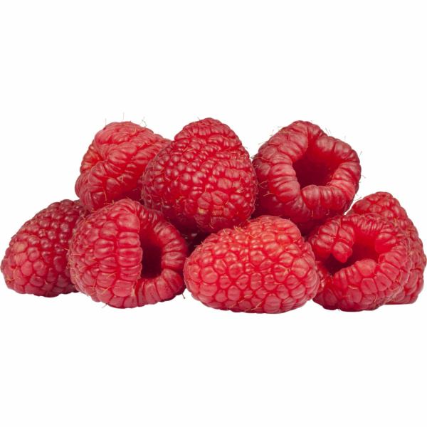 GROW by OBI Organic Malina "TwoTimer® -Sugana®" Červená V...