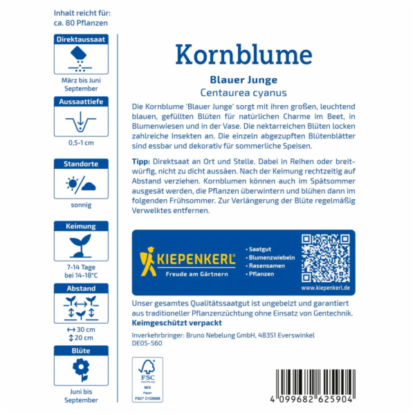 Kiepenkerl Chrpa "Blue Boy" modrá