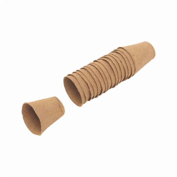 Sonstige Sazenice, kulaté, průměr 8 cm, 16 kusů