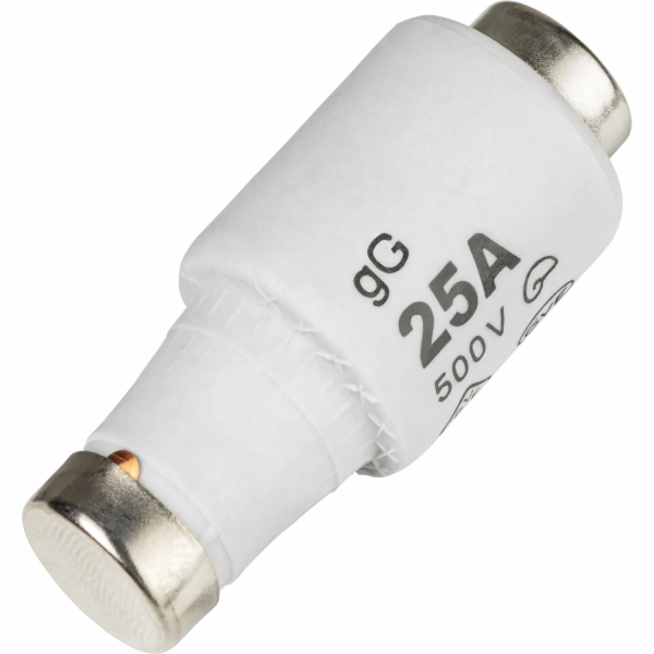 Sonstige Pojistka DII/E27 25 A pomalá, 5 kusů