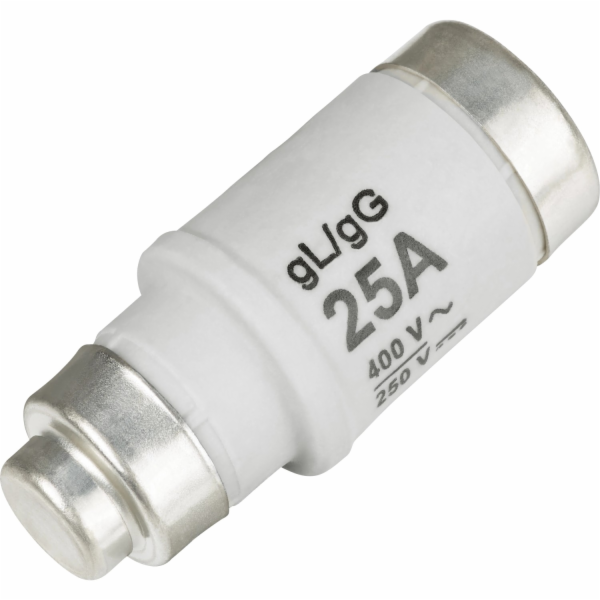 Sonstige Pojistka D02/E18 25 A pomalá, 10 kusů