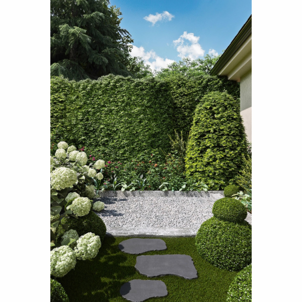 Eurostone Přírodní kámen, nášlapný kámen Blue-Stone 50 cm...
