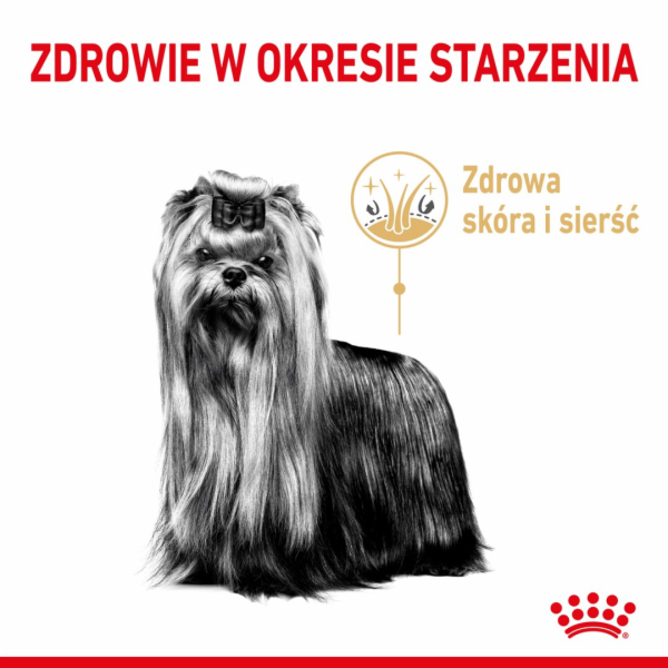 ROYAL CANIN Yorkshire Terrier 8+ Suché krmivo pro psy Drů...