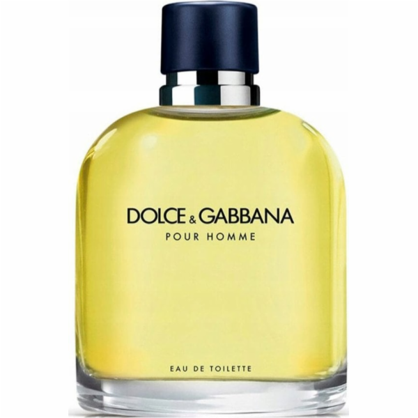 Dolce & Gabbana Dolce & Gabbana Pour Homme toaletní voda ...