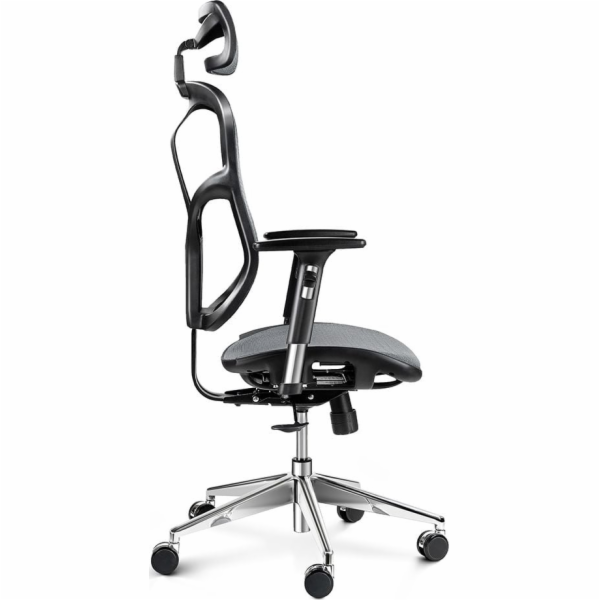 Diablo Chairs Kancelářská židle V-Basic, černošedá