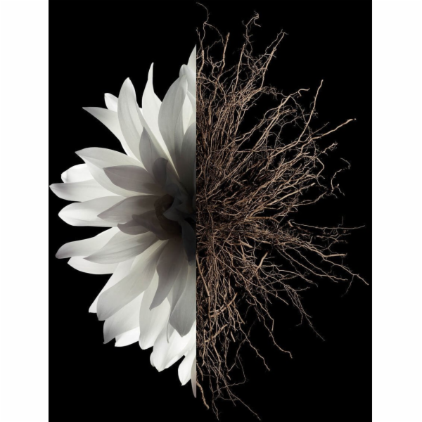 Givenchy L'interdit Vlasová mlha sprej 35ml