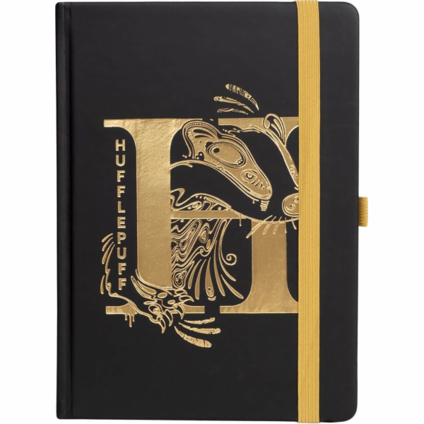 Pyramid vý zápisník HARRY POTTER Z MRZIROMU 120k