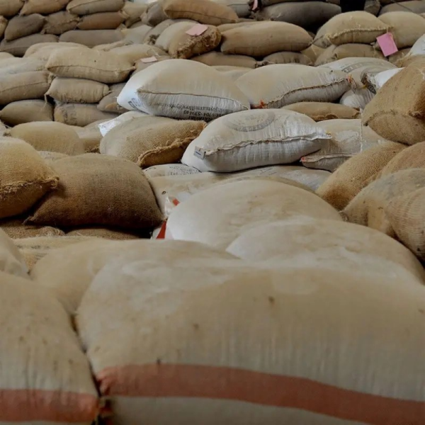 Roastains kávová zrna Kenya Red Fizz filtrovaná 250g