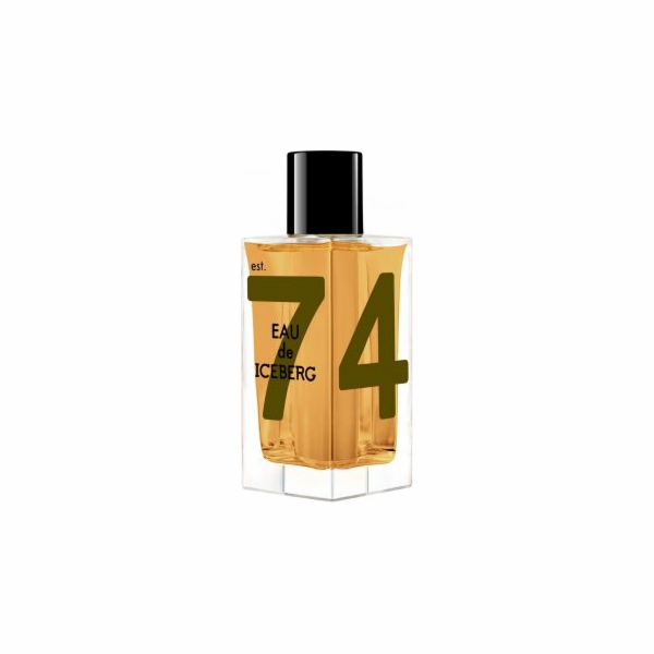 Iceberg Eau de Iceberg Amber EDT 100ml