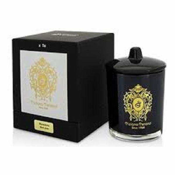 Tiziana Terenzi TIZIANA TERENZI SVÍČKA Maremma 170g - 801...
