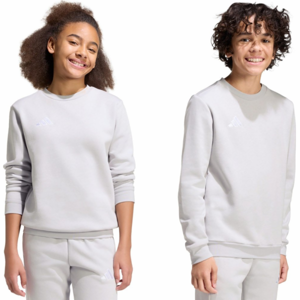 Adidas Dětská mikina Entrada 26 Sweat Top šedá JZ6551 164cm