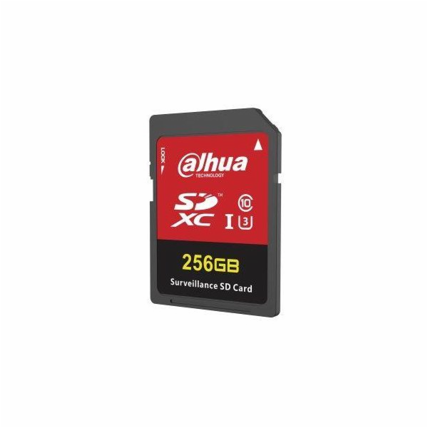 Dahua Technology Paměťová karta H100 microSD 256GB