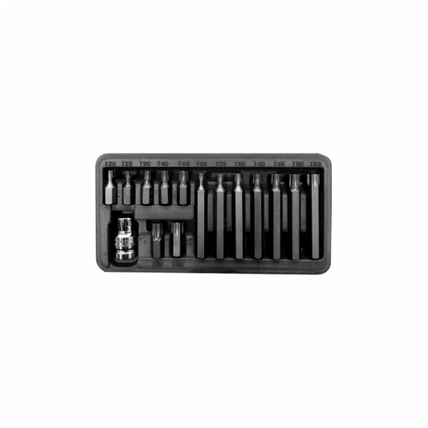 Pro-Line Sada bitů 3/8'' Torx T20-T55, 15 kusů (10741)