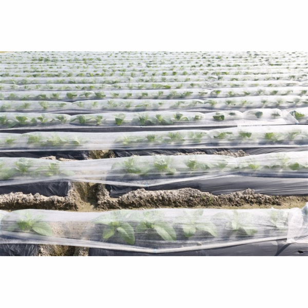 JetWorld ZAHRADNÍ PŘESTŘIH 17 G 1,6X250 M BÍLÝ