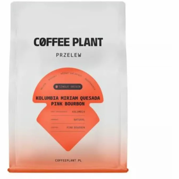Coffee Plant Kávová rostlina COFEE PLANT - Kolumbijská ká...