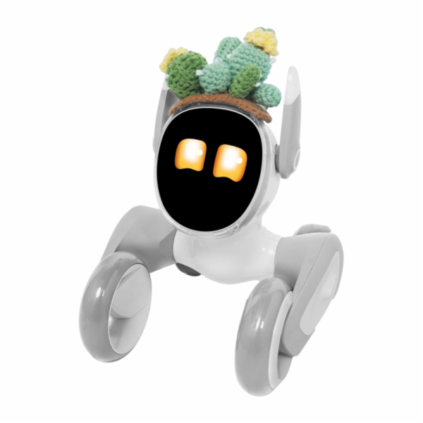 Pletený kostým pro Loona Premium Cactus
