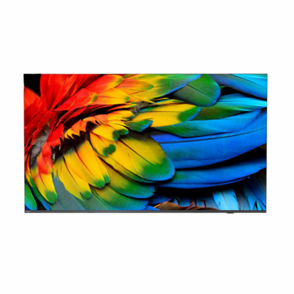 Philips/58HFL6214U/12/58"/4K UHD/Gray