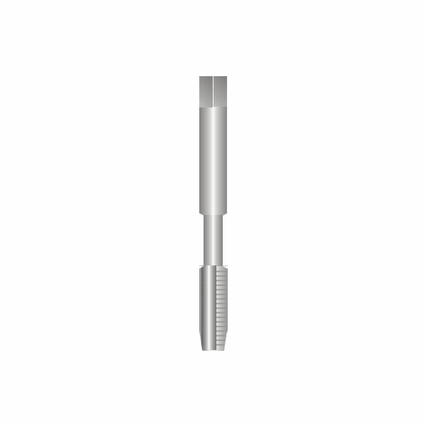 Fanar Machine Tap M10x1 (E1-131001-0103)