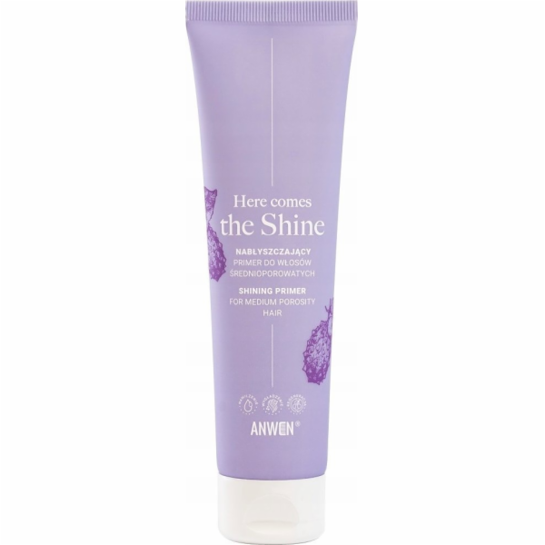 Alkotest Anwen ANWEN_Here Comes The Shine lesklý primer p...