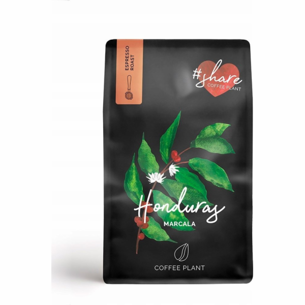 Coffee Plant Kávová rostlina KÁVOVÁ ROSTLINA - Honduras L...
