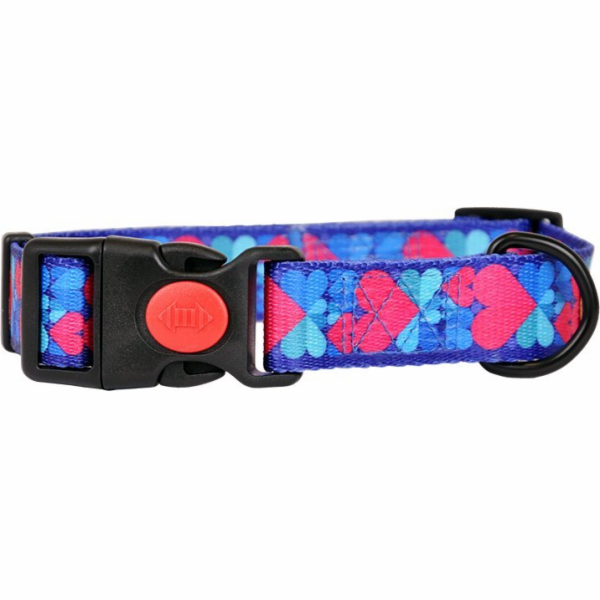 Dino Páska na obojek DINO IVO 20mm/35-60cm srdíčka