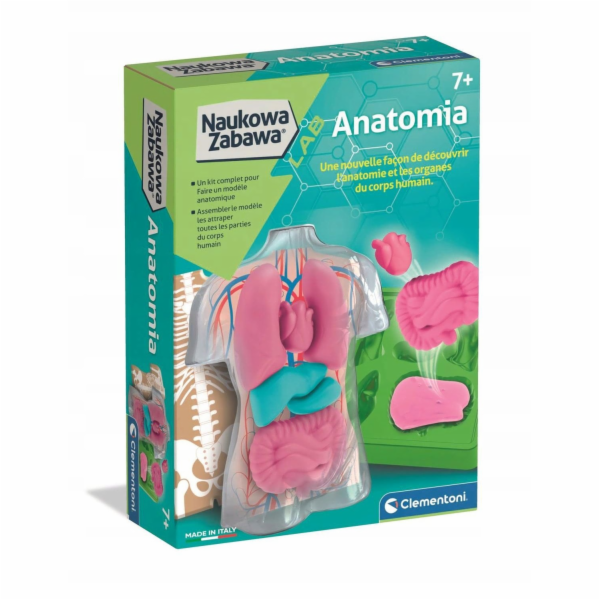 Clementoni CLM ANATOMY ZEST KREAT 50252 PUD6