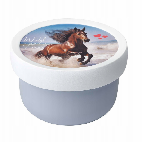 Curver FRUIT BOX CAMPUS 300 ML DIVOKÝ KŮŇ 107430065401