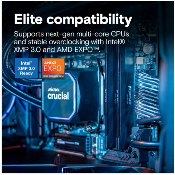 Crucial Pro OC - DDR5 - sada - 32 GB: 2 x 16 GB - DIMM 28...