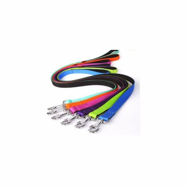 Dingo Vodítko Energy nastavitelné 1,0/220 cm mátově modré