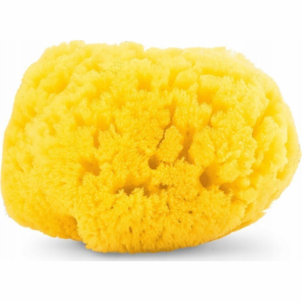 NoName CHICCO_Přírodní houba do koupele