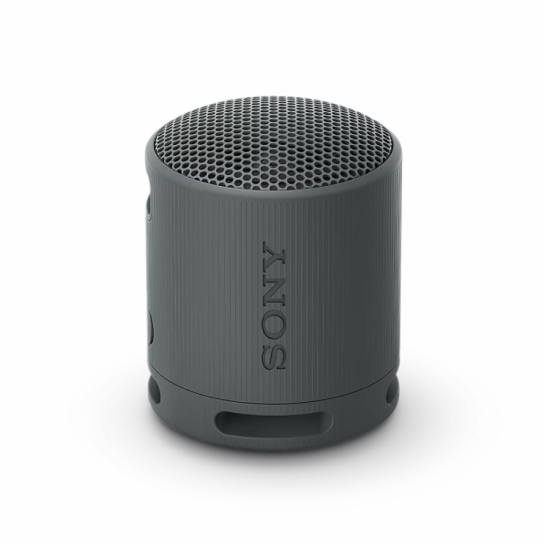 SONY SRS-XB100B