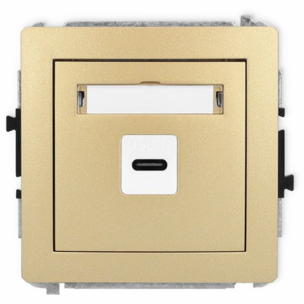 Karlik USB zásuvka Deco 29DGUSB-7 jednoduchá CC zlatá