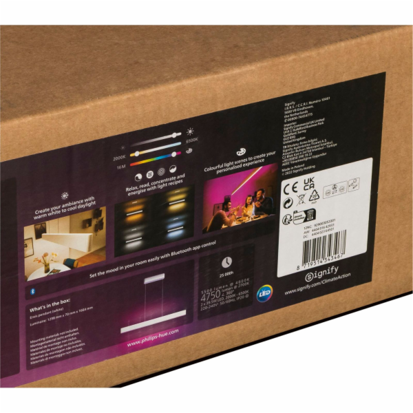 Bílé závěsné svítidlo Philips Philips Hue Ensis 2x39W 24V