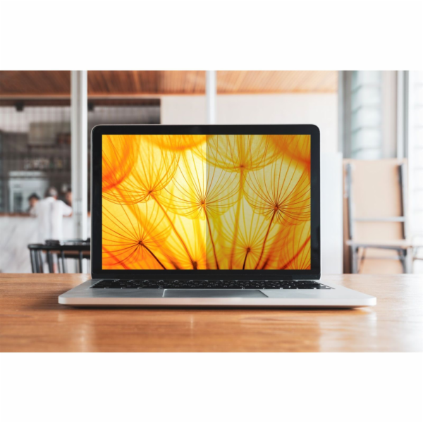 3M BP173W9B Blickschutzf. 16:9 17,3" Bright Screen für La...