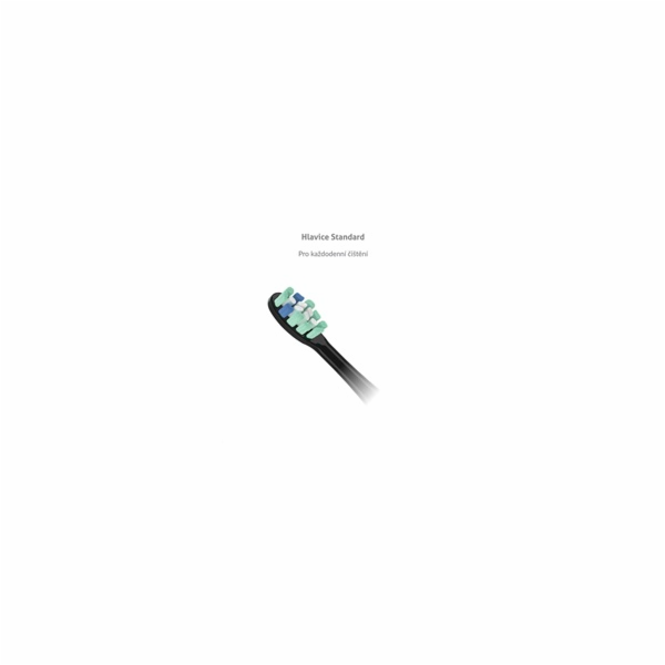 TrueLife SonicBrush Clean-series heads Standard black 2 pack