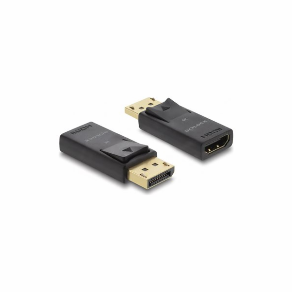 Delock - Video adaptér - DisplayPort s piny (male) do HDM...