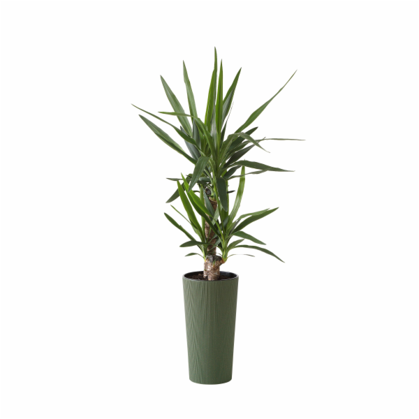 Hrnec Lamela Lilia 876-42, plast, O 29,5 cm, zelený