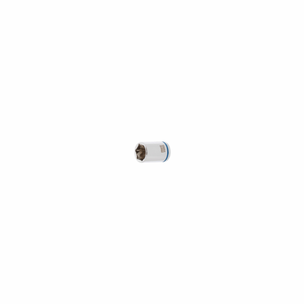 Šroub s vnitřním šestihranem Forte Tools, 12 mm, 1/4"