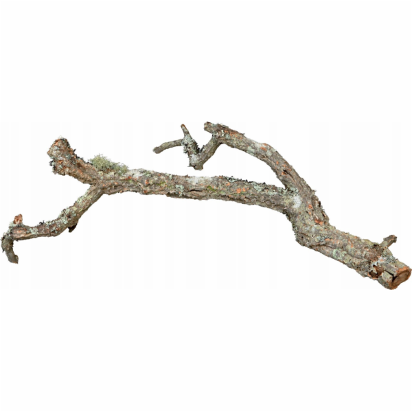 Terra Natura Větev korkového dubu, 60 cm, XL