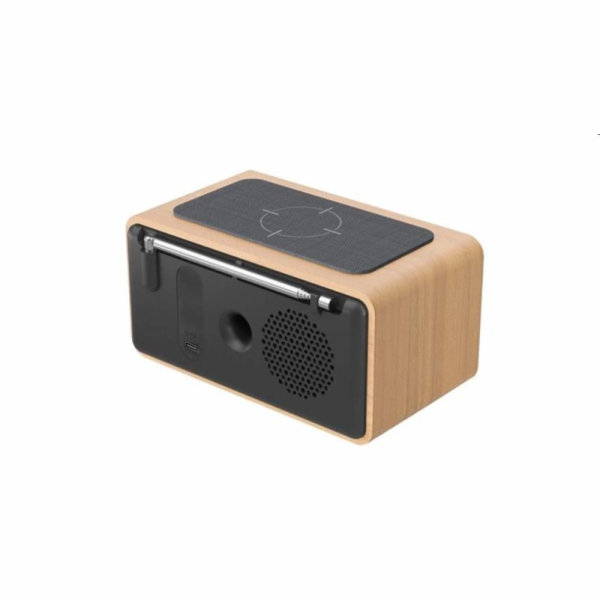 CARNEO W20D DAB, FM radio, wireless charging