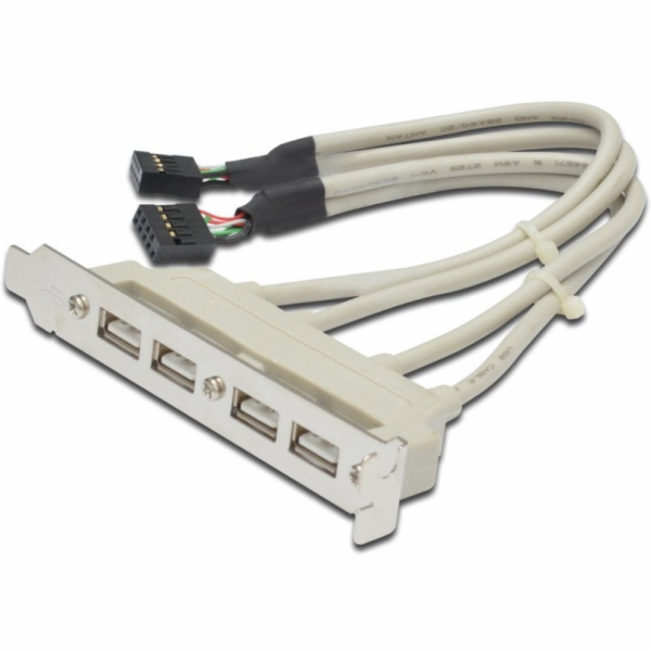 Digitus záslepka slotu s 4 USB porty, kabel 2x 10 Pin  0,25m