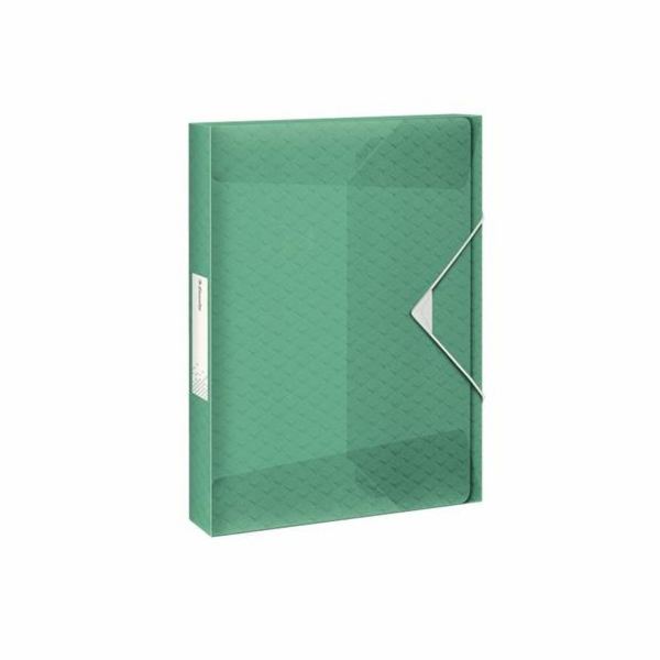 Esselte box na spisy Colour Ice, zelený