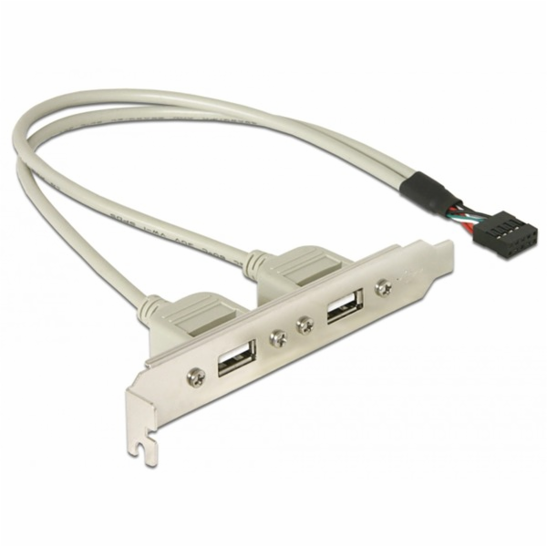 DeLOCK kryt slotu USB 2.0, 10pin header > 2x zásuvka USB-A
