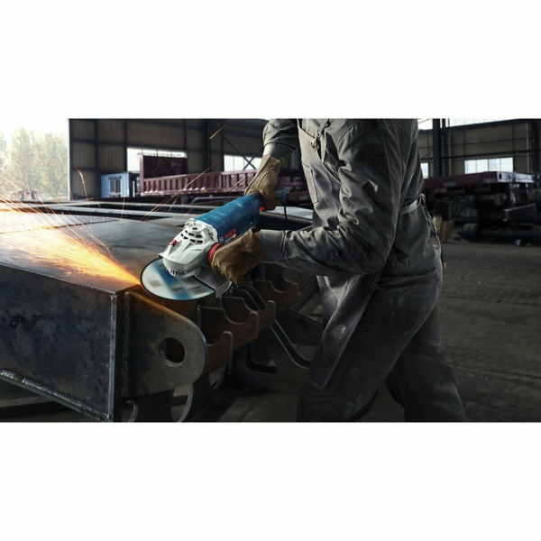 Bosch Professional GWS 24-230 P