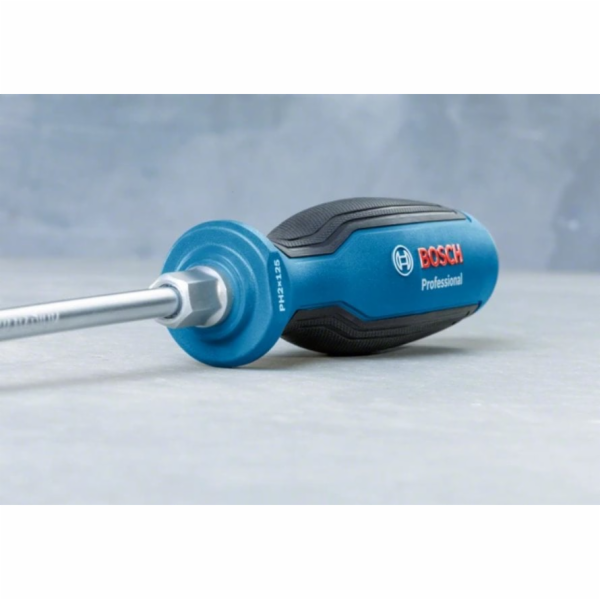 Bosch Professional SL 5,5 x 100 mm