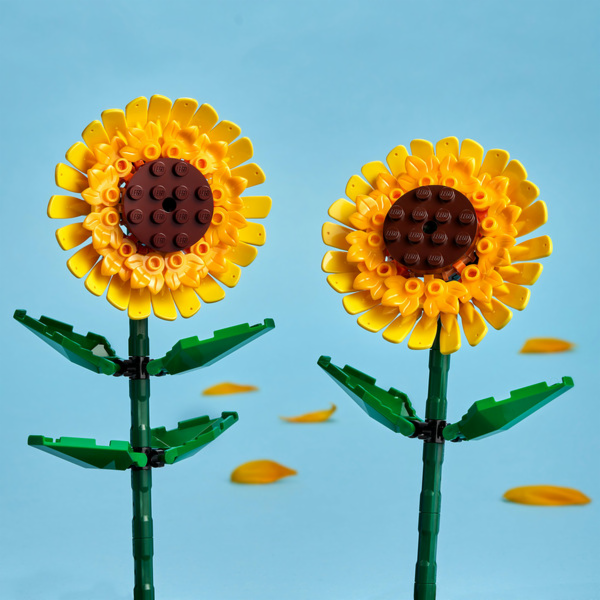 Stavebnice LEGO 40524 Botanicals Slunečnice